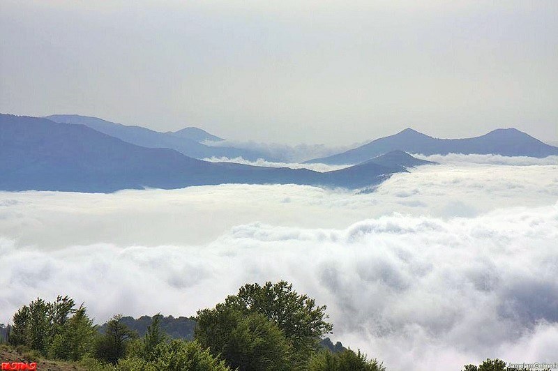 The shahrood could call a paradise for nature lovers